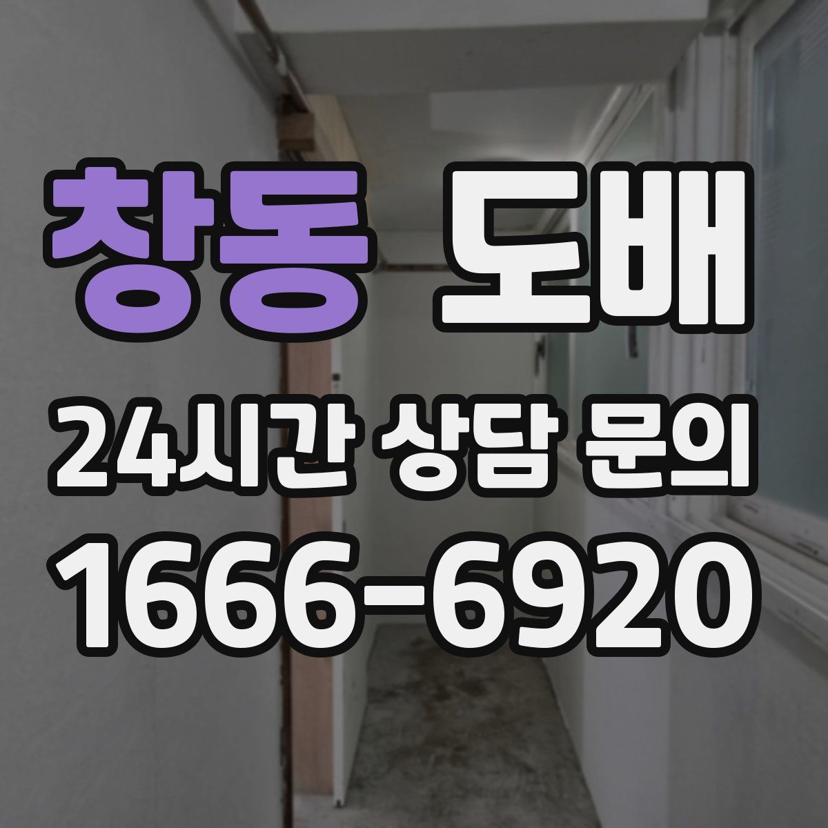 창동 도배