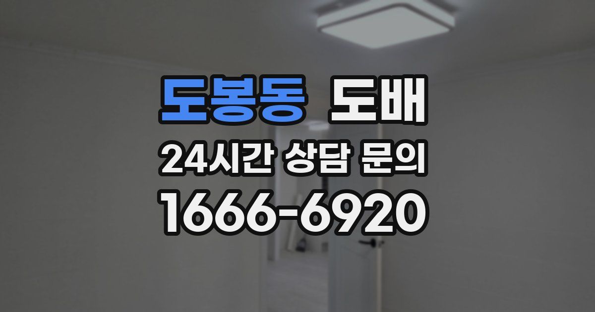 도봉동 도배