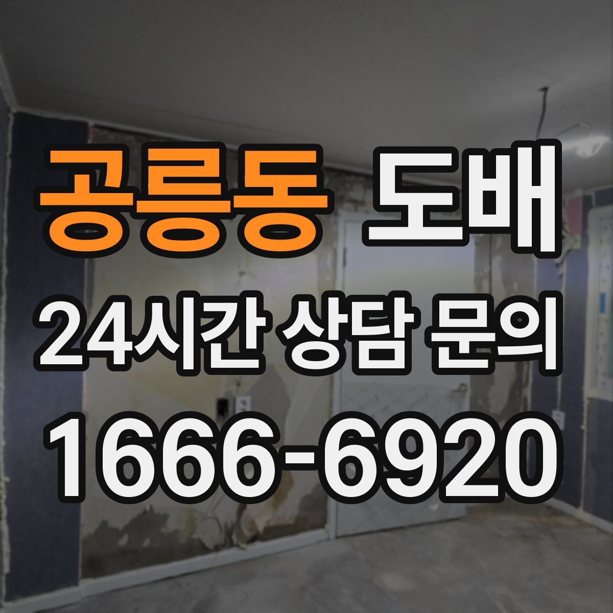 공릉동 도배