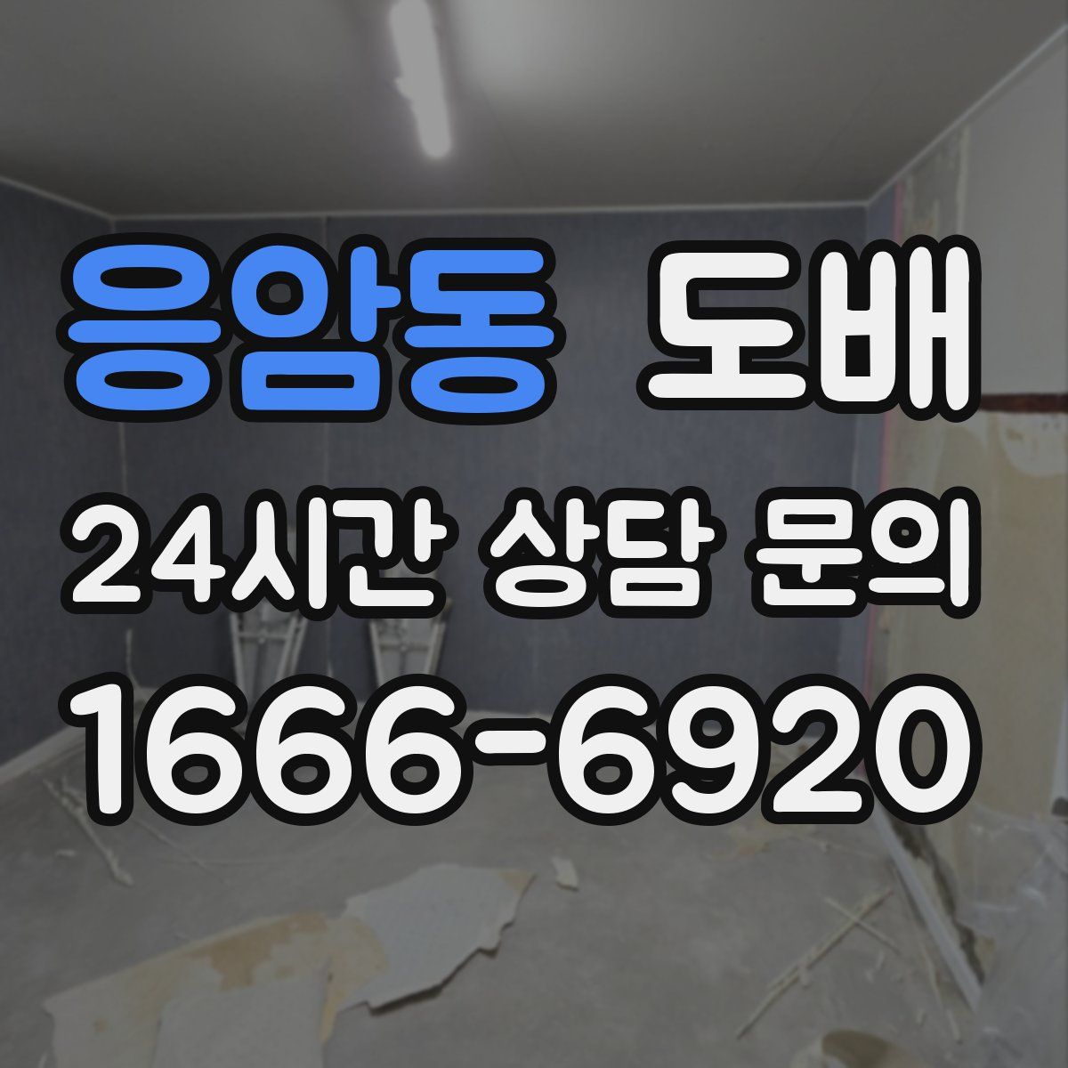 응암동 도배
