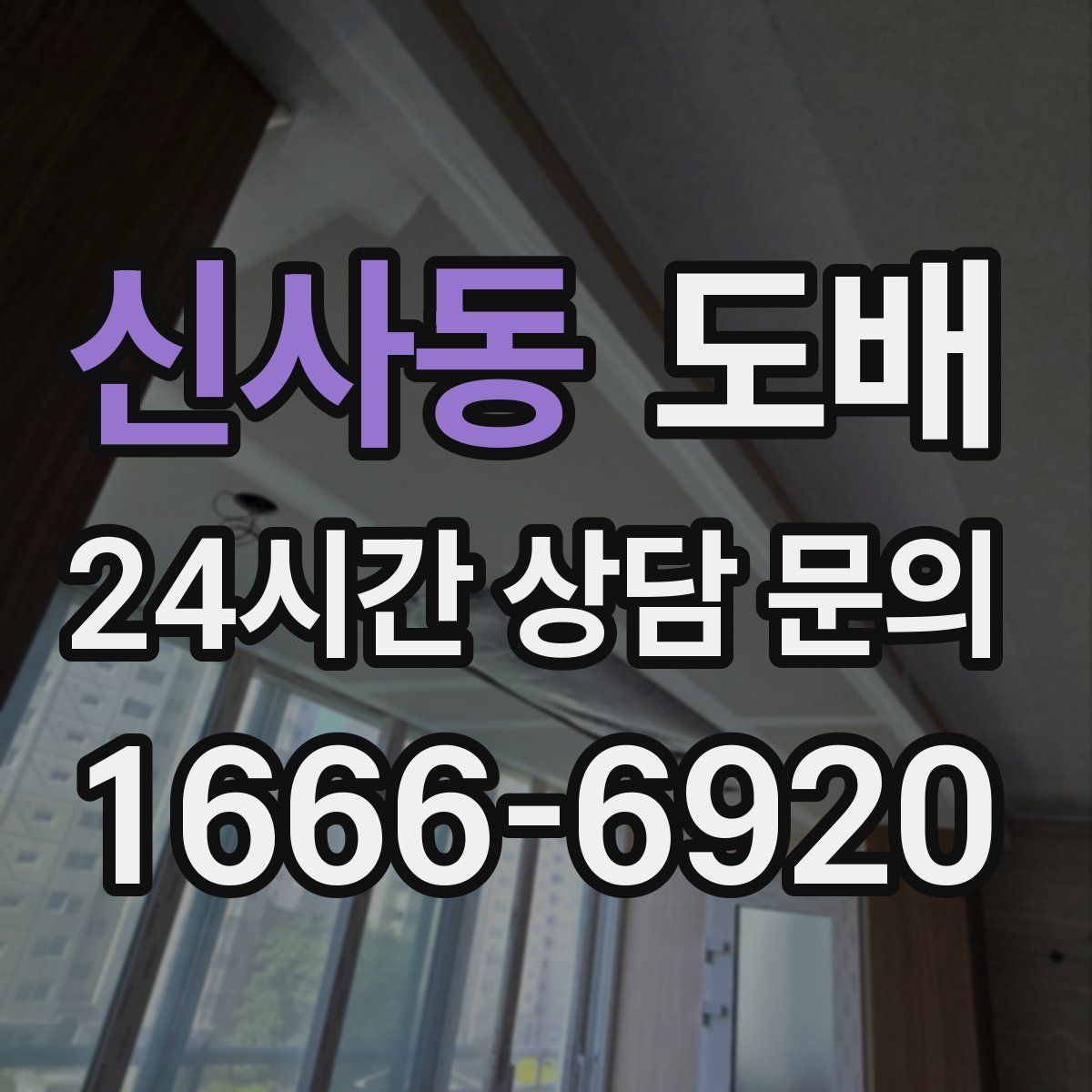 신사동 도배