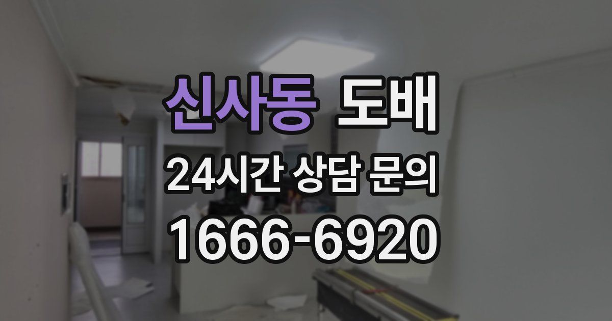 신사동 도배