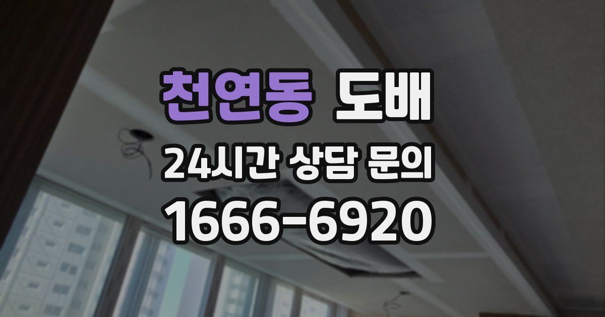 천연동 도배