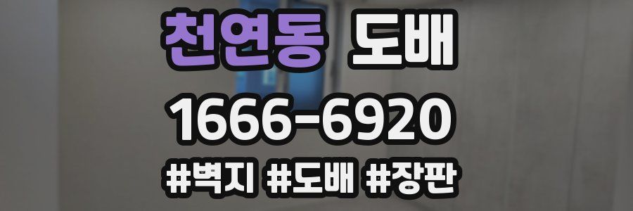 천연동 도배