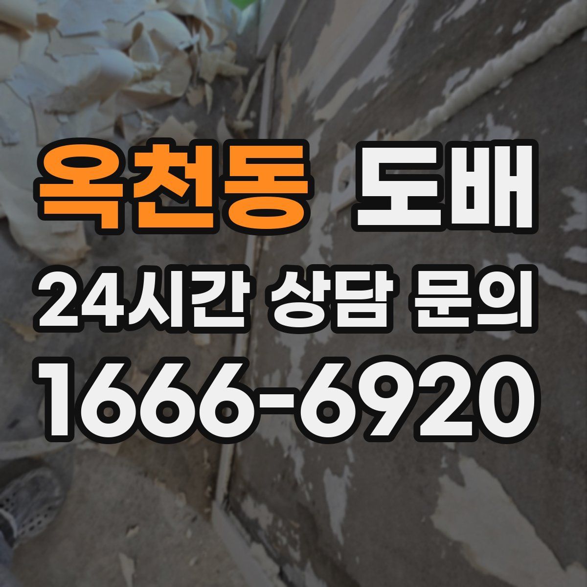 옥천동 도배
