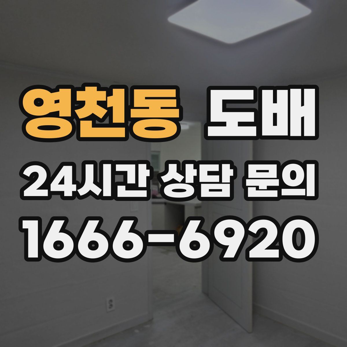 영천동 도배