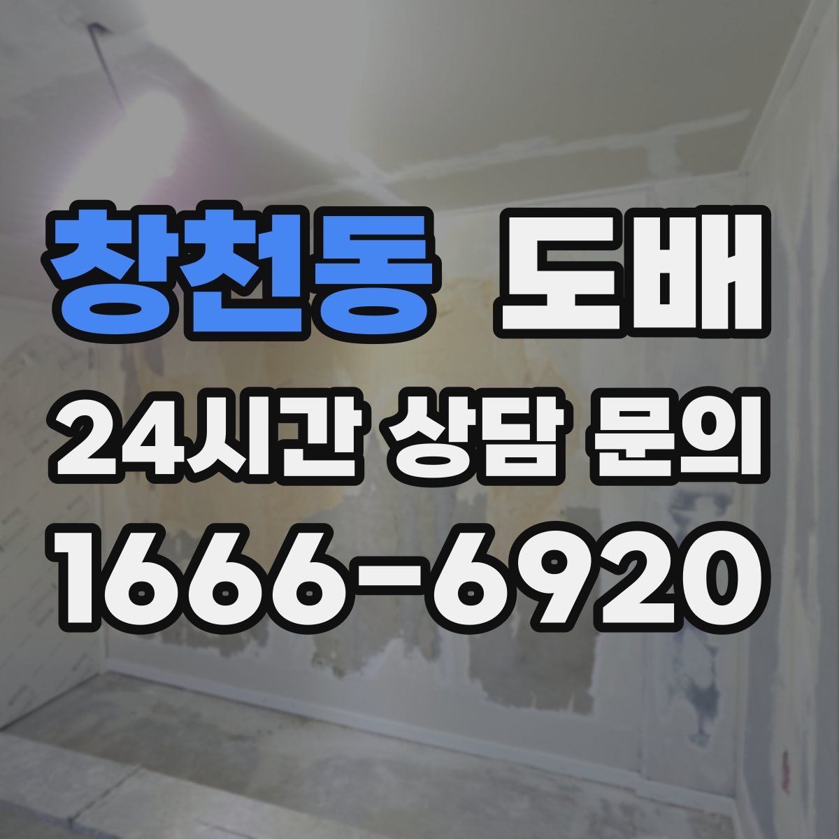 창천동 도배