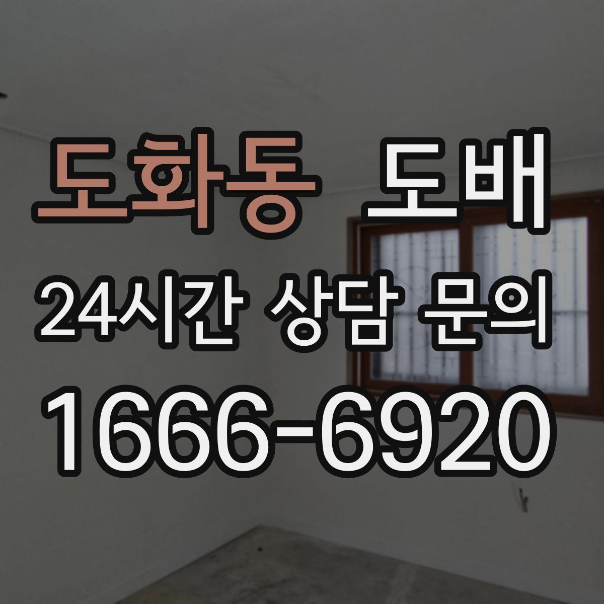 도화동 도배