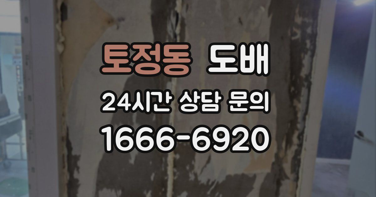 토정동 도배