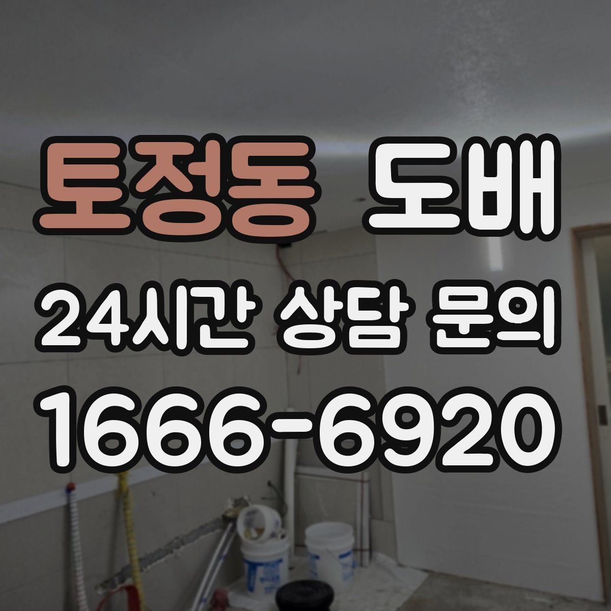 토정동 도배