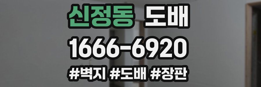 신정동 도배