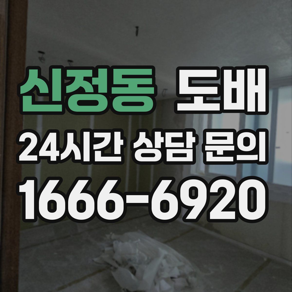 신정동 도배