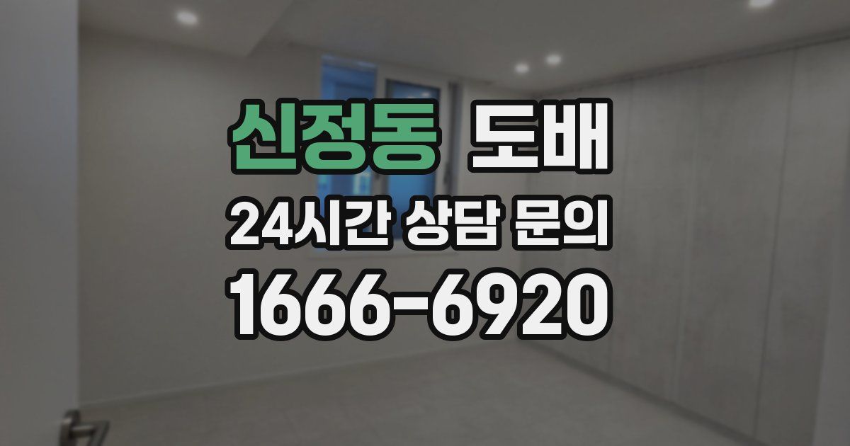 신정동 도배