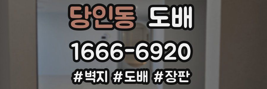 당인동 도배
