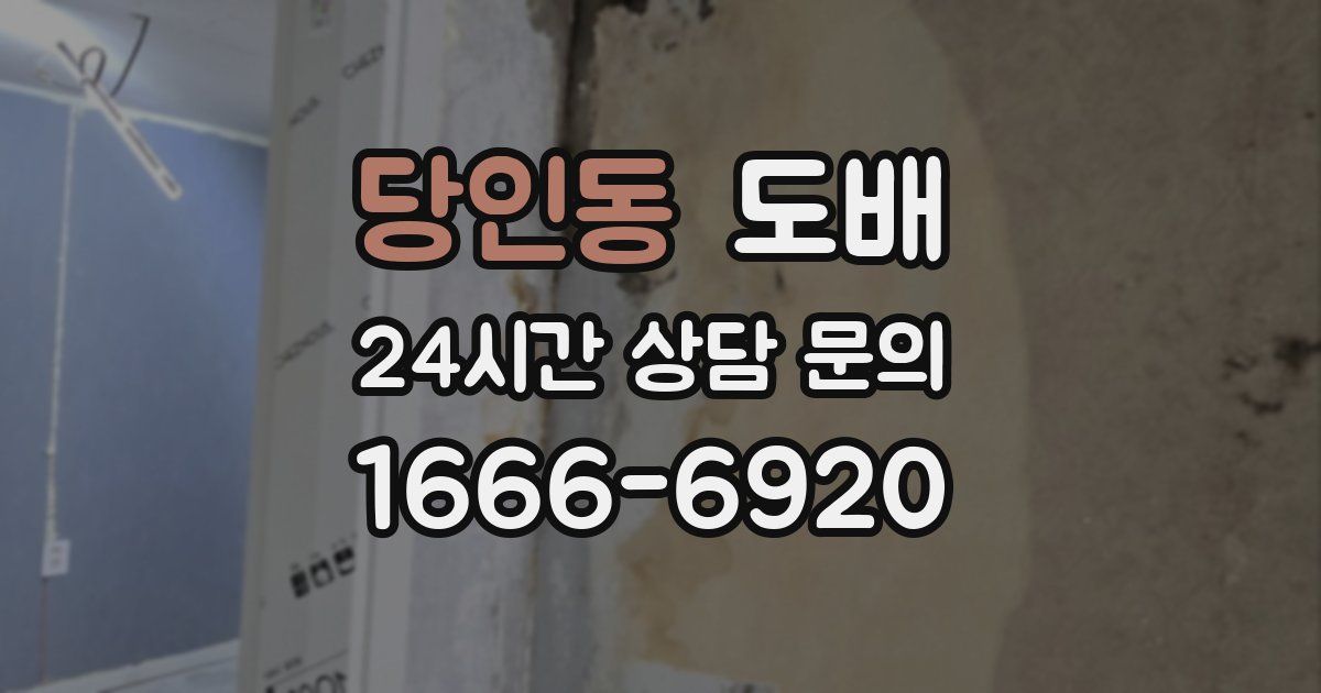 당인동 도배