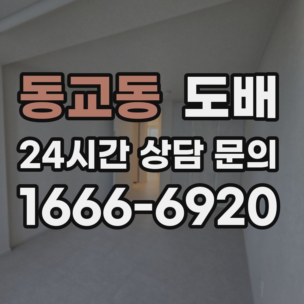 동교동 도배