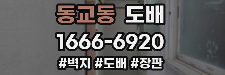동교동 도배