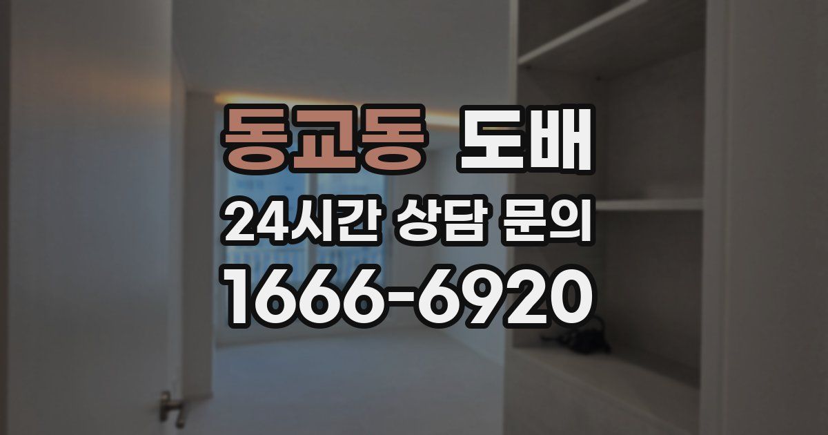 동교동 도배