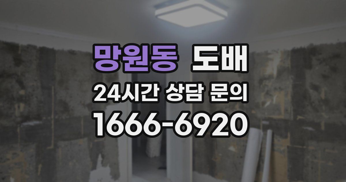 망원동 도배