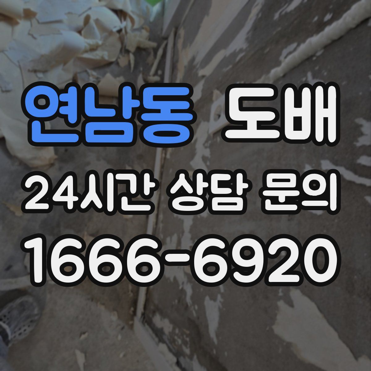 연남동 도배
