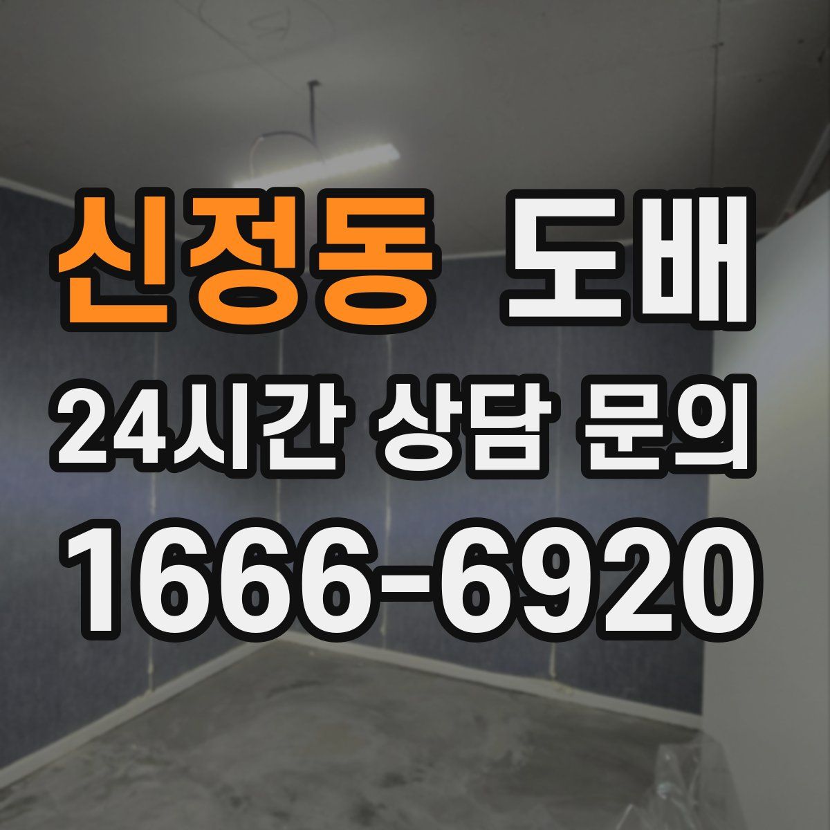 신정동 도배