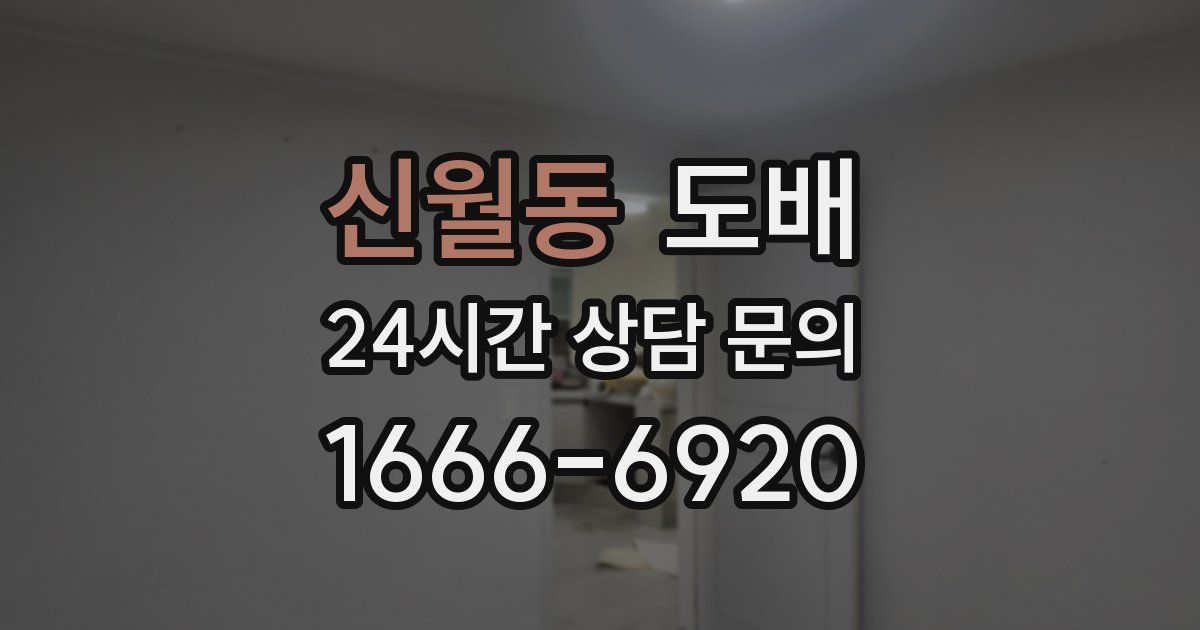 신월동 도배