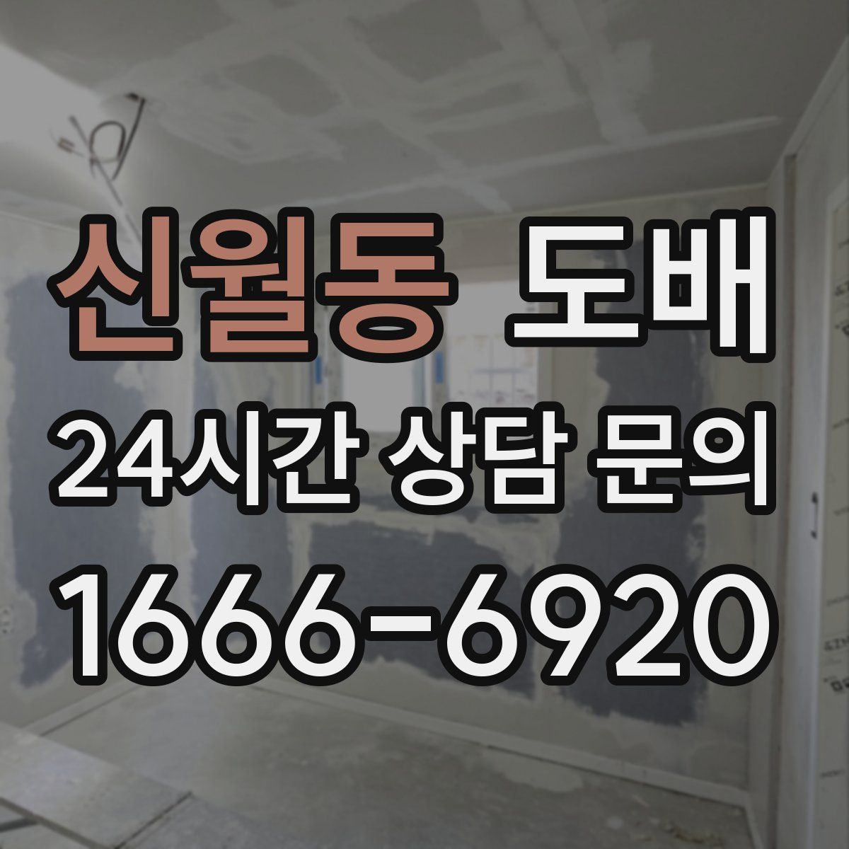 신월동 도배
