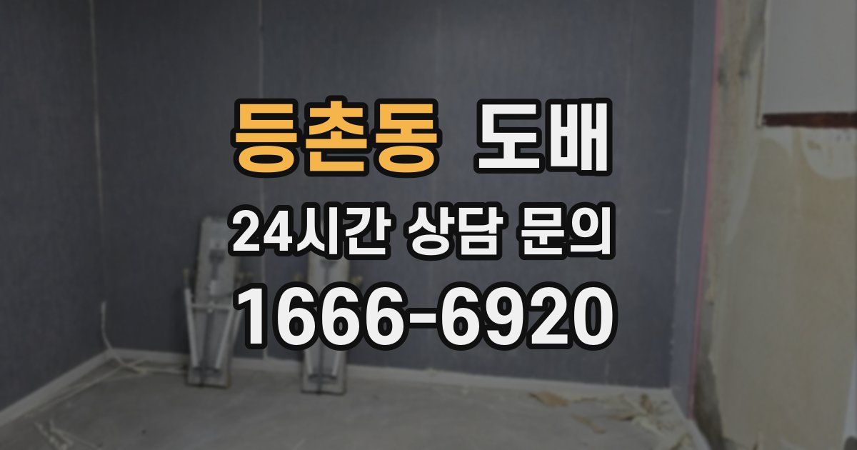 등촌동 도배