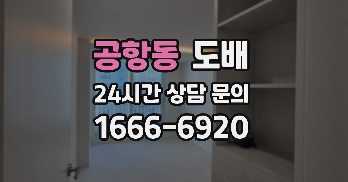 공항동 도배