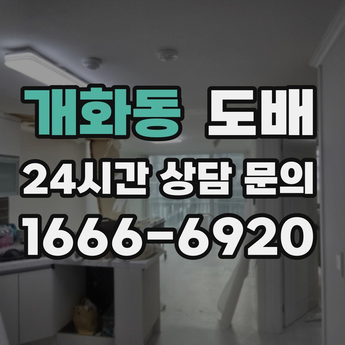 개화동 도배