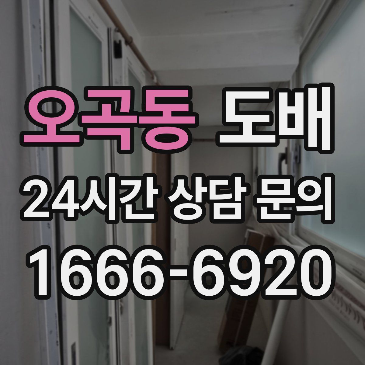 오곡동 도배