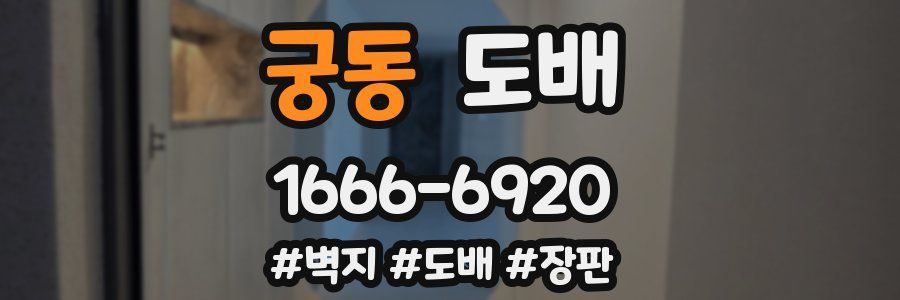 궁동 도배