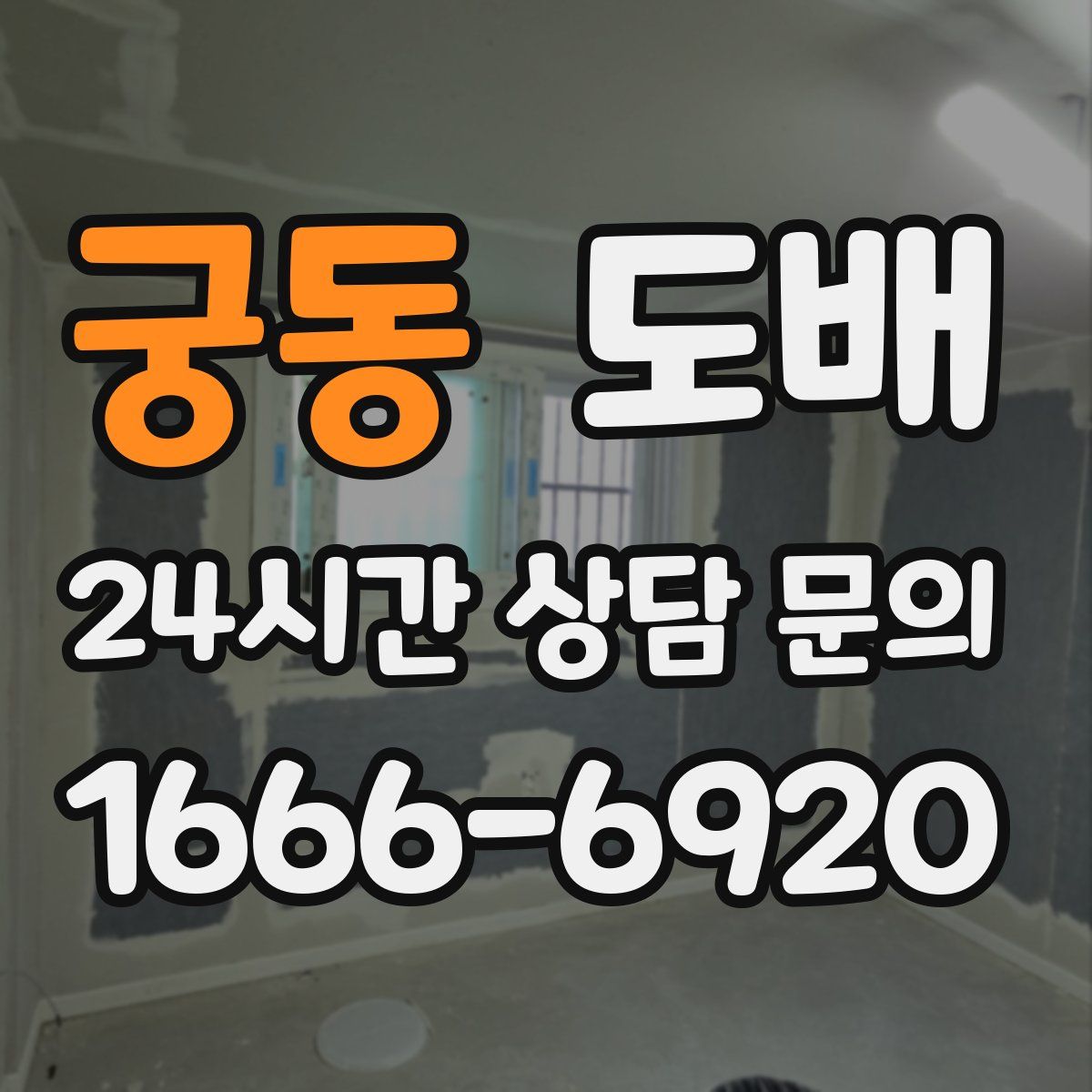 궁동 도배