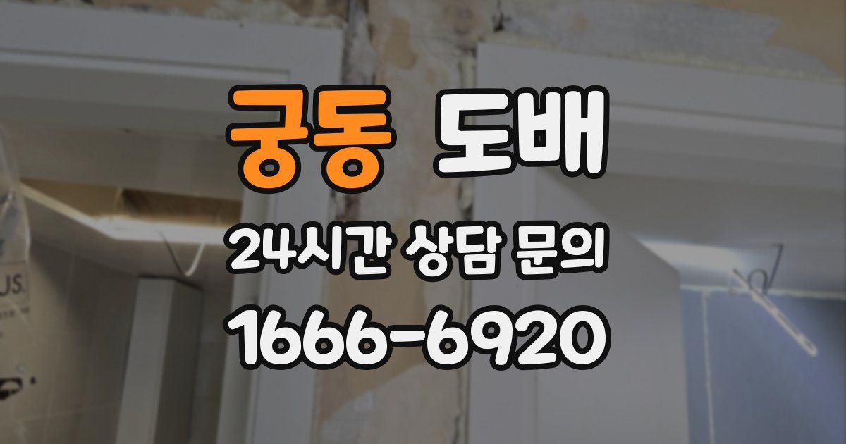 궁동 도배