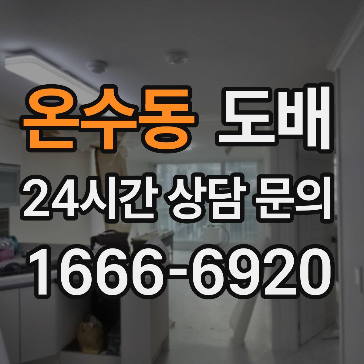 온수동 도배
