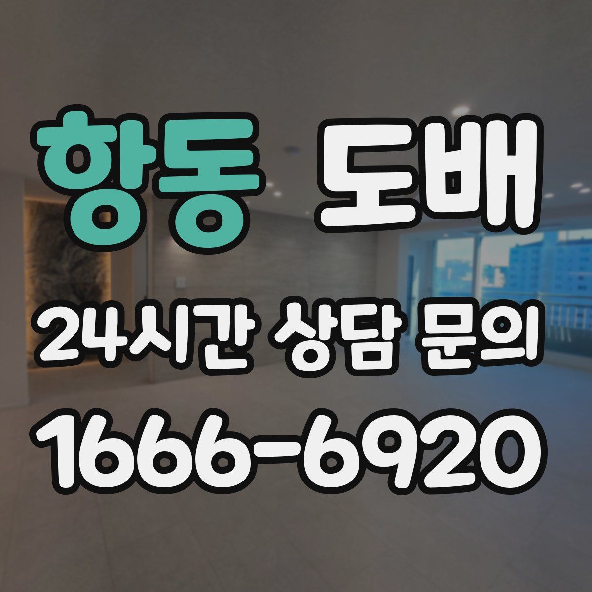 항동 도배