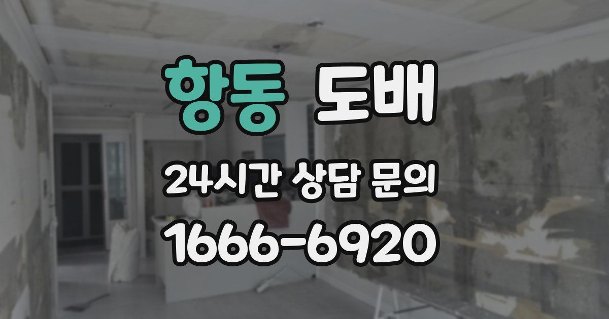 항동 도배