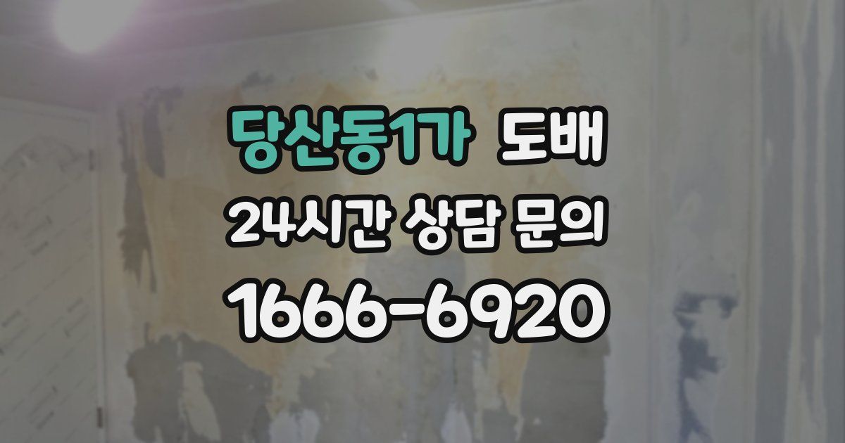 당산동1가 도배