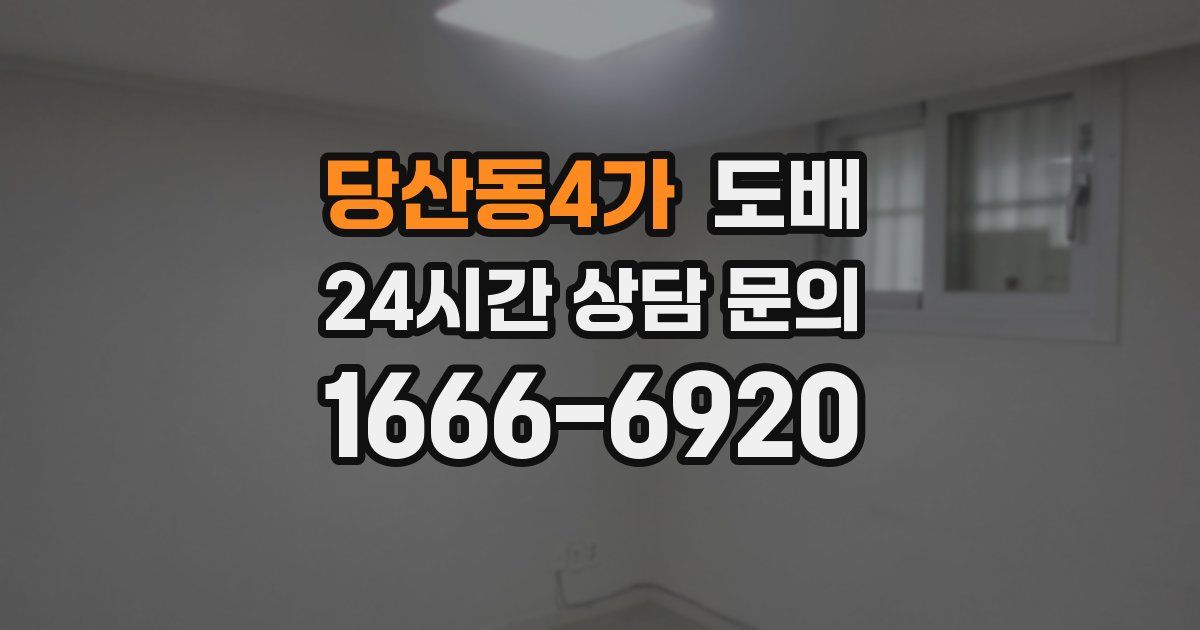 당산동4가 도배