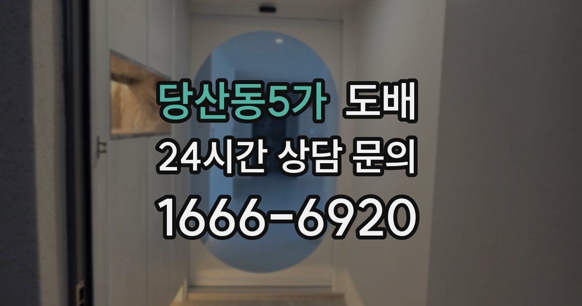 당산동5가 도배