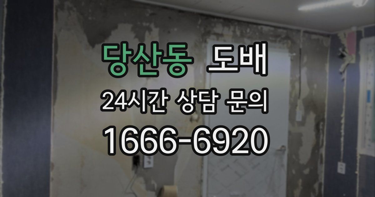 당산동 도배