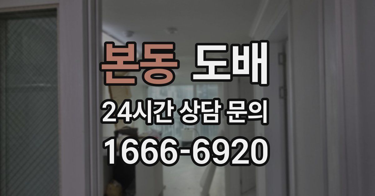 본동 도배