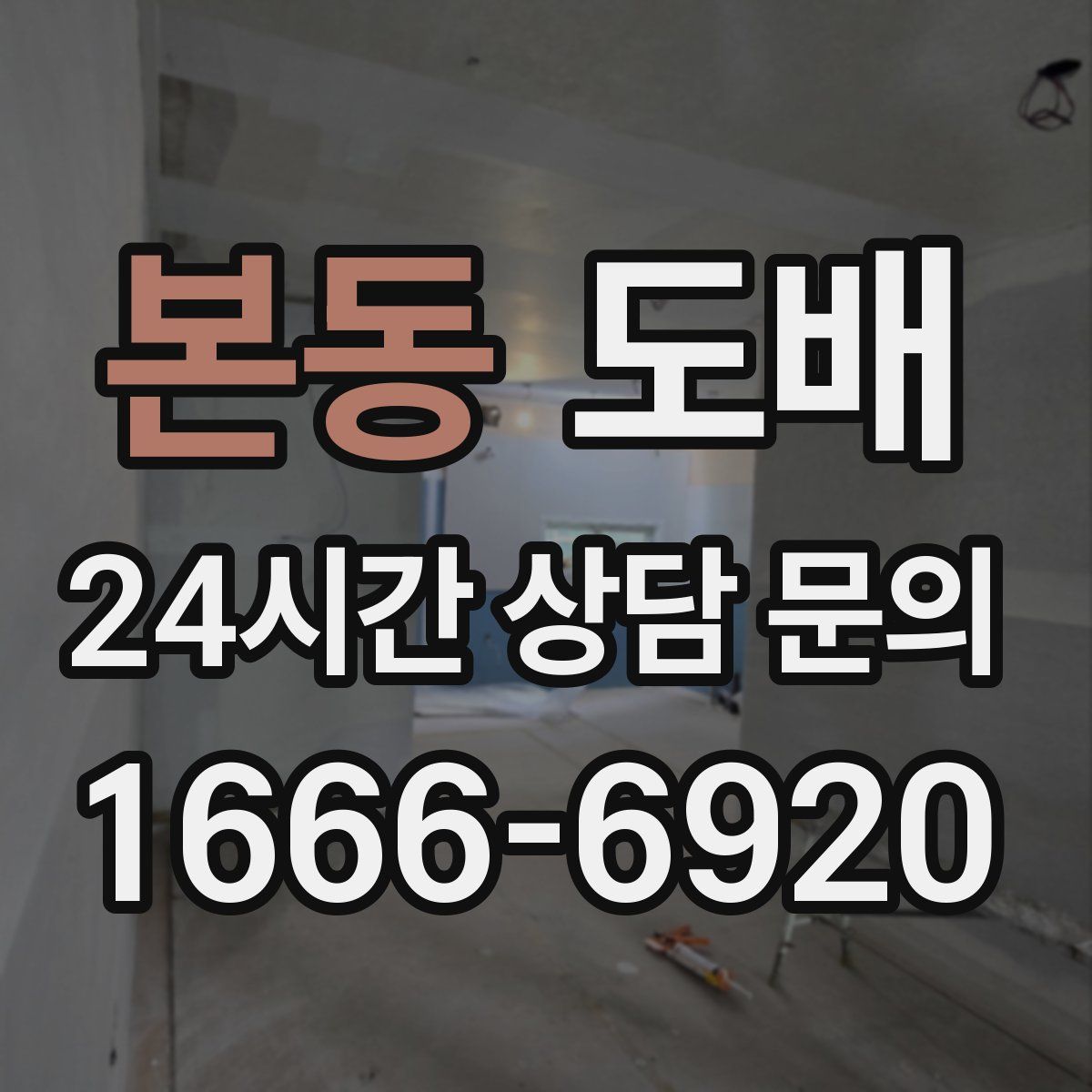 본동 도배