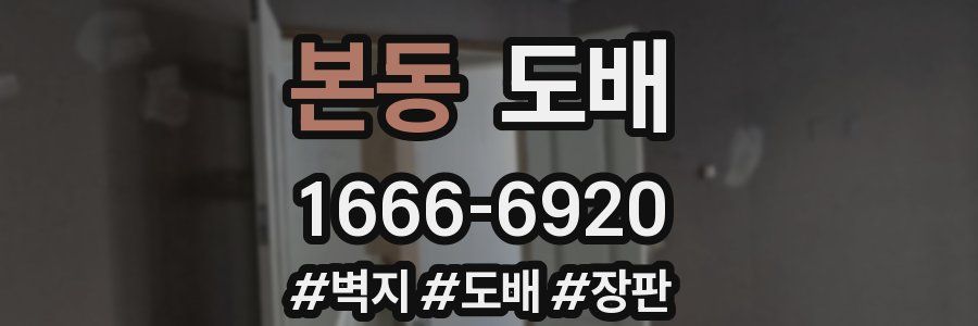 본동 도배