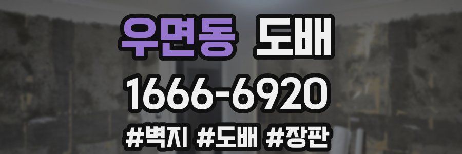우면동 도배