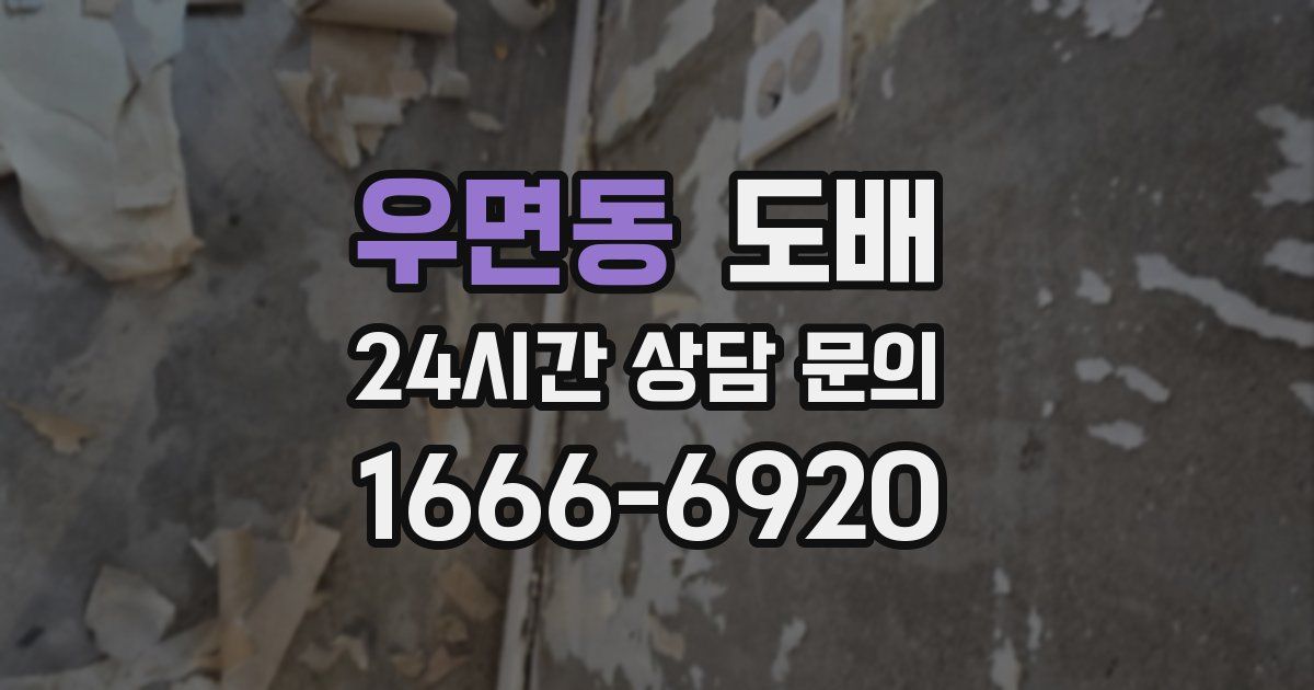우면동 도배