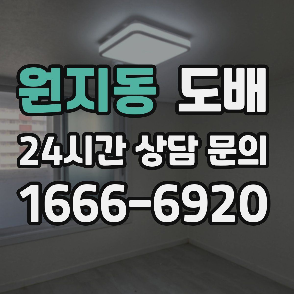 원지동 도배