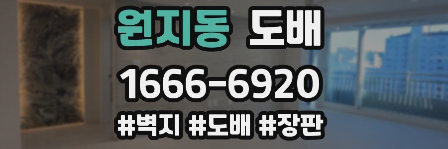 원지동 도배
