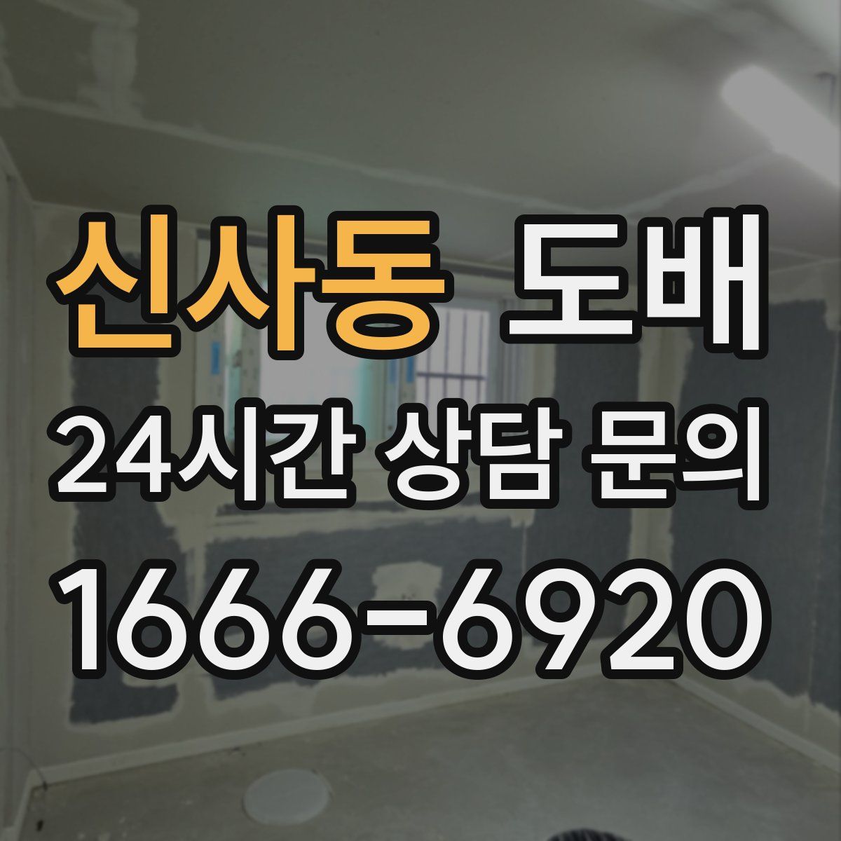 신사동 도배