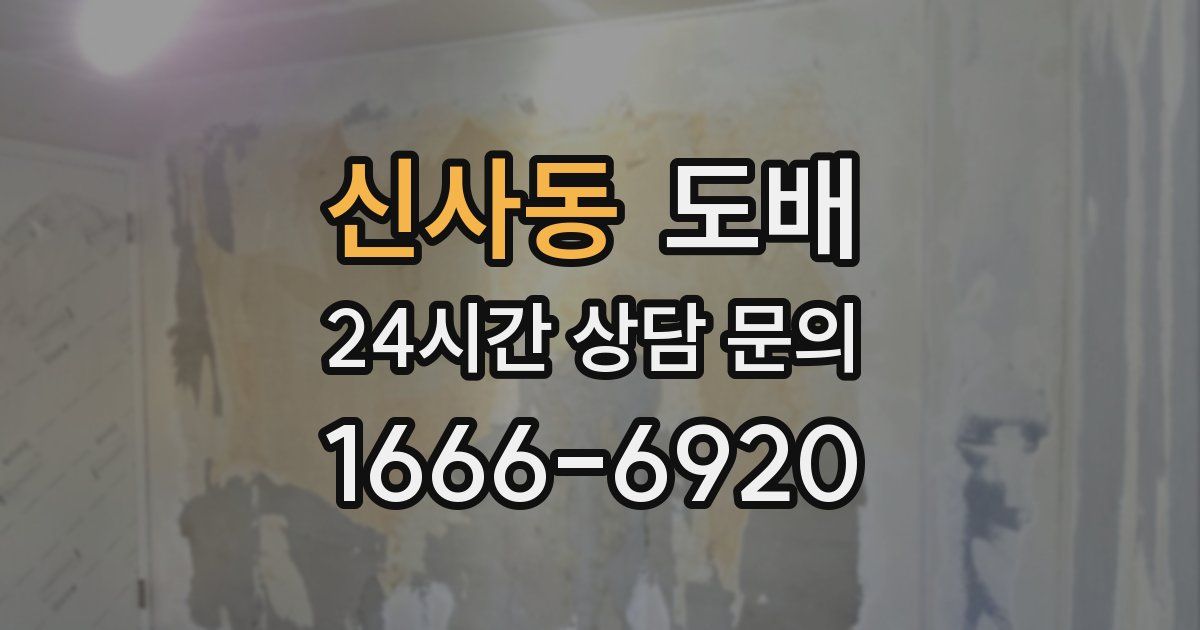 신사동 도배